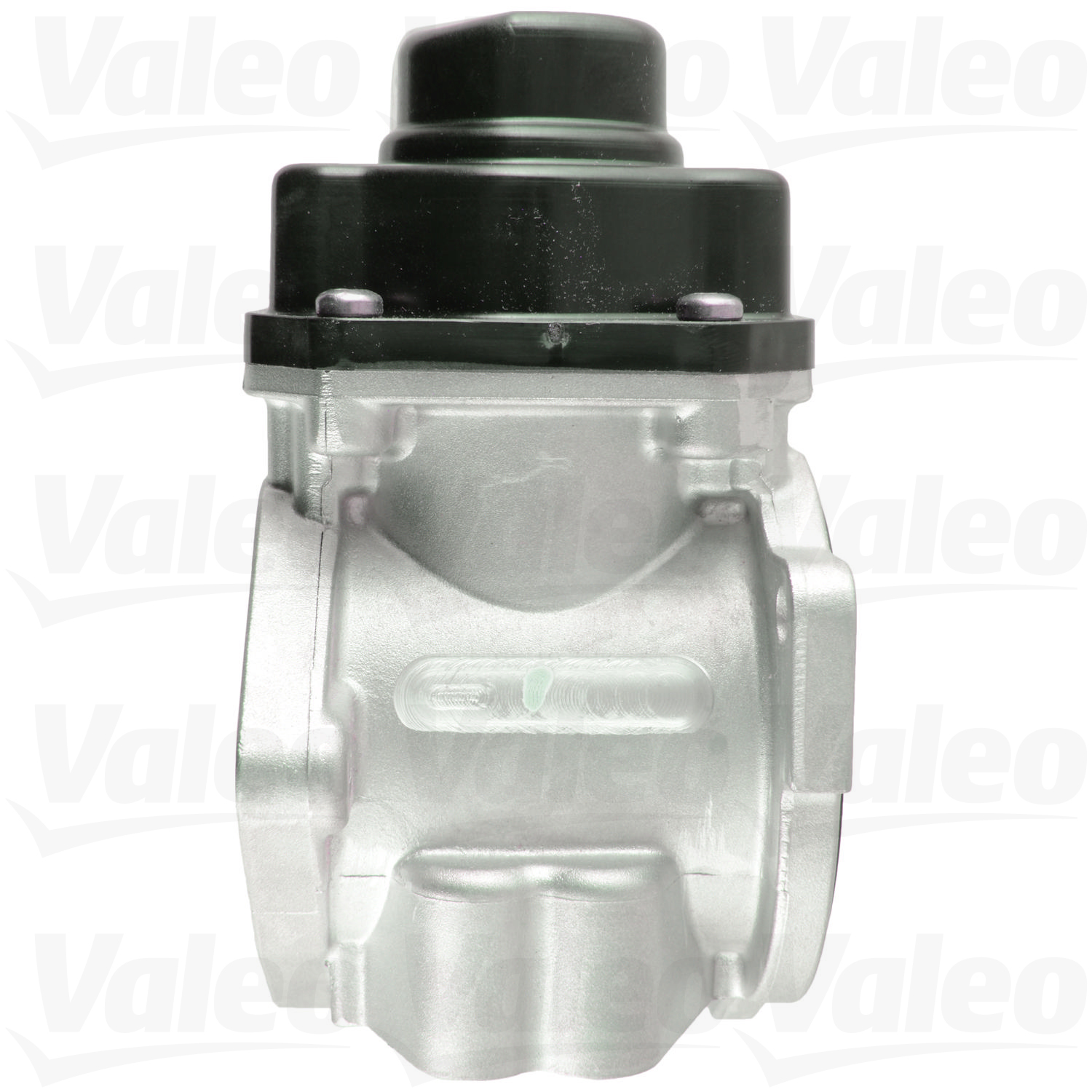 Valeo 700424 - Exhaust Gas Recirculation (EGR) Valve