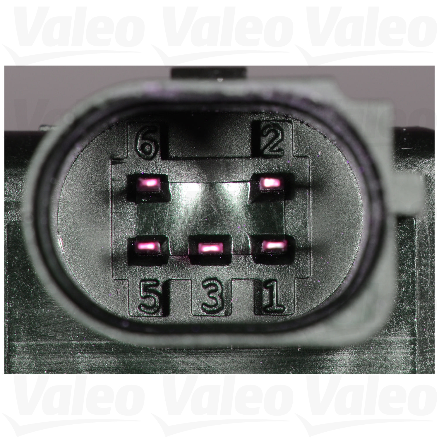Valeo 700424 - Exhaust Gas Recirculation (EGR) Valve