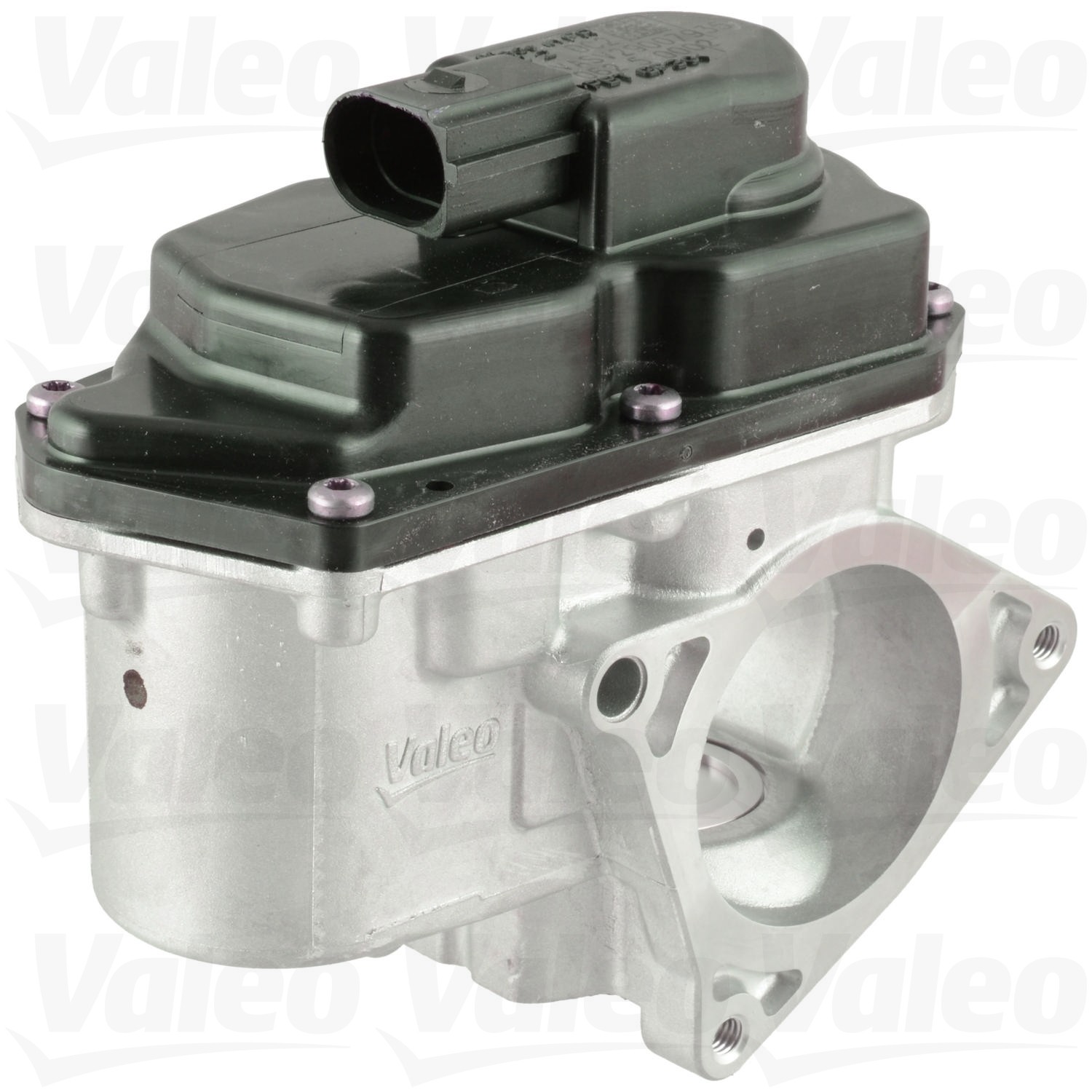 Valeo 700424 - Exhaust Gas Recirculation (EGR) Valve