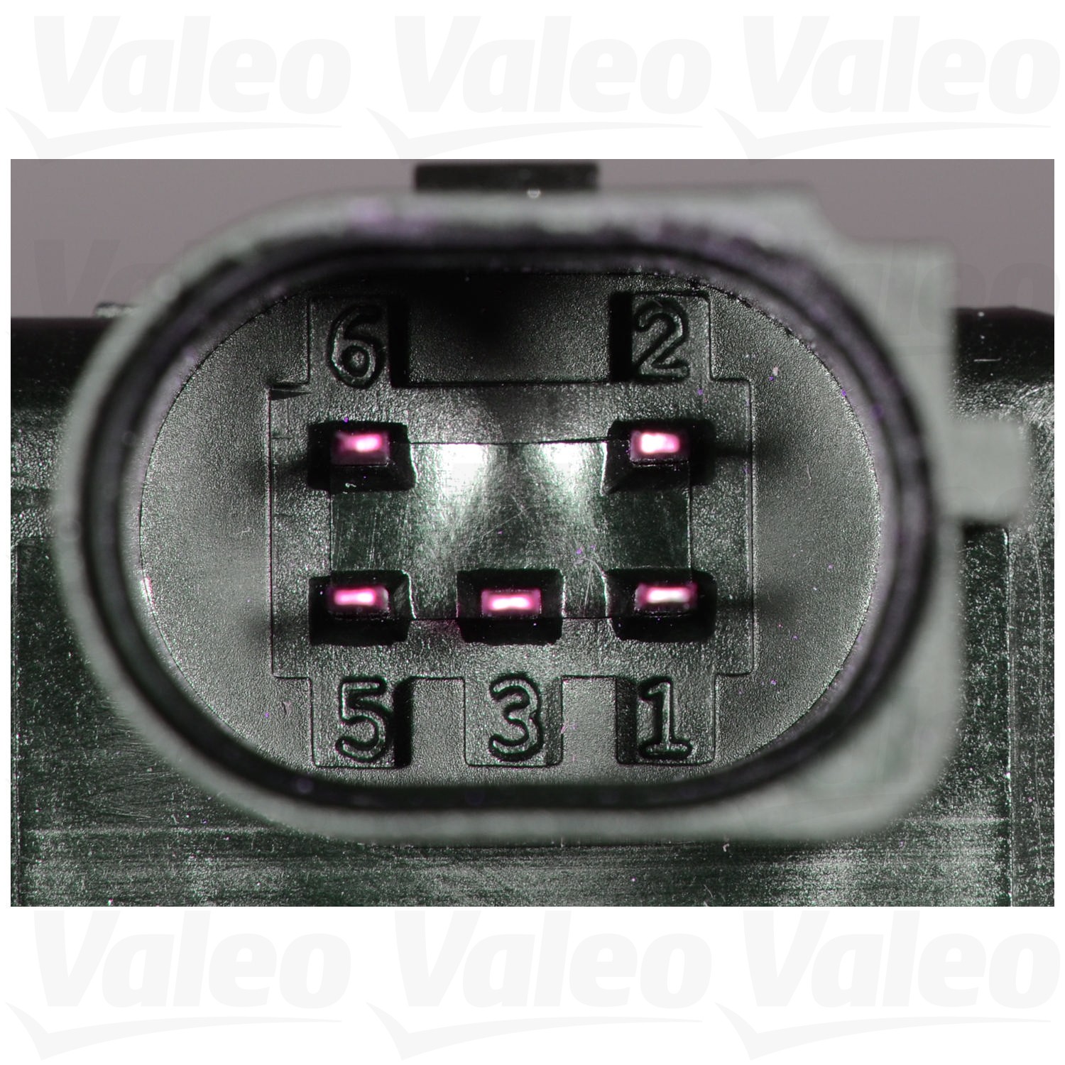Valeo 700424 - Exhaust Gas Recirculation (EGR) Valve