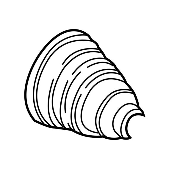 Genuine BMW 31607608095 - CV Joint Boot Kit (Front Inner)