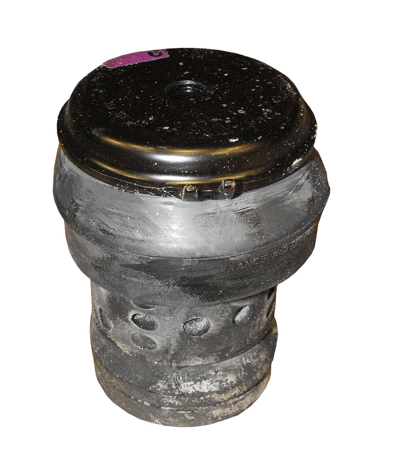 Rein AVE0256P - Engine Mount (Front)