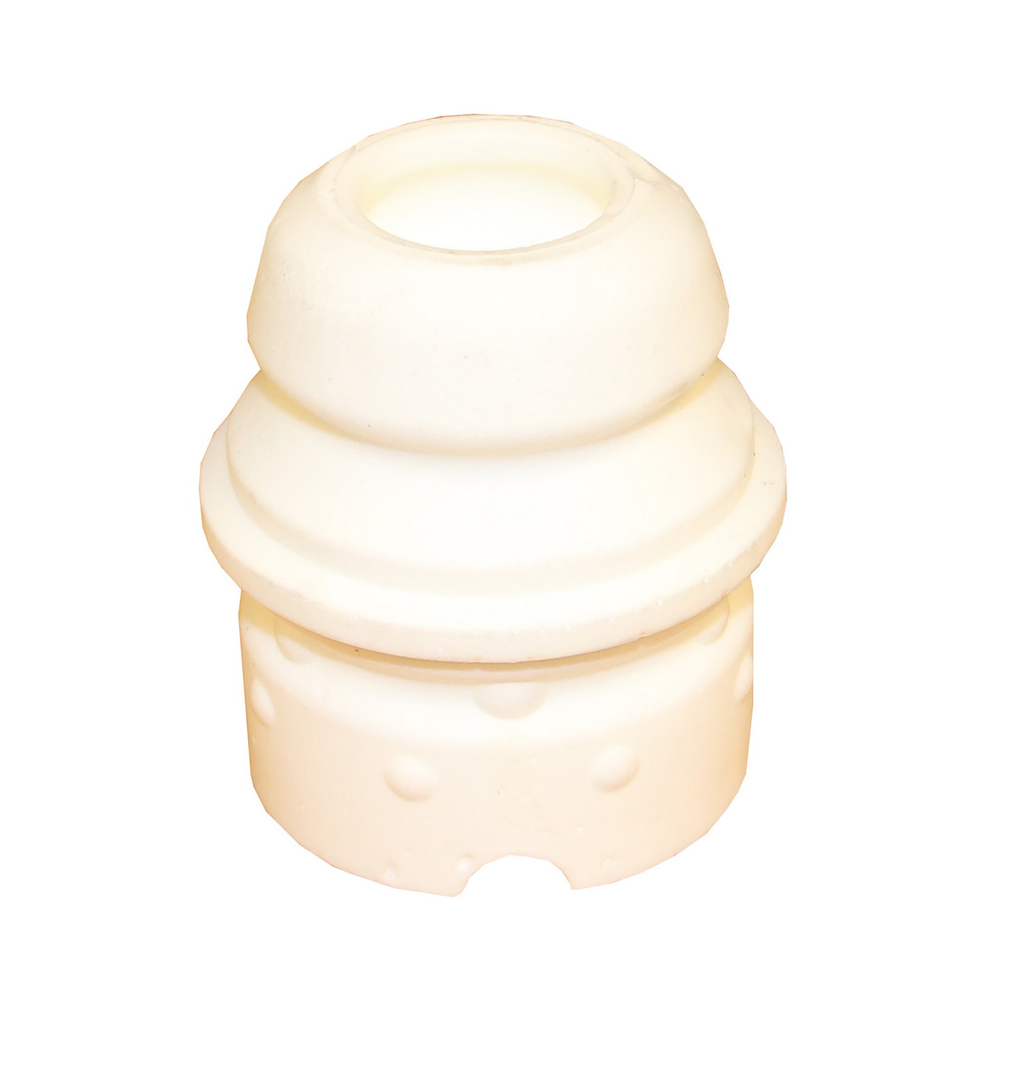 Rein AVZ0239P - Jounce Bumper (Front)