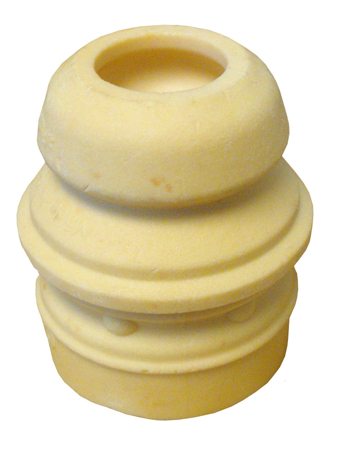 Rein AVZ0269P - Jounce Bumper (Front)