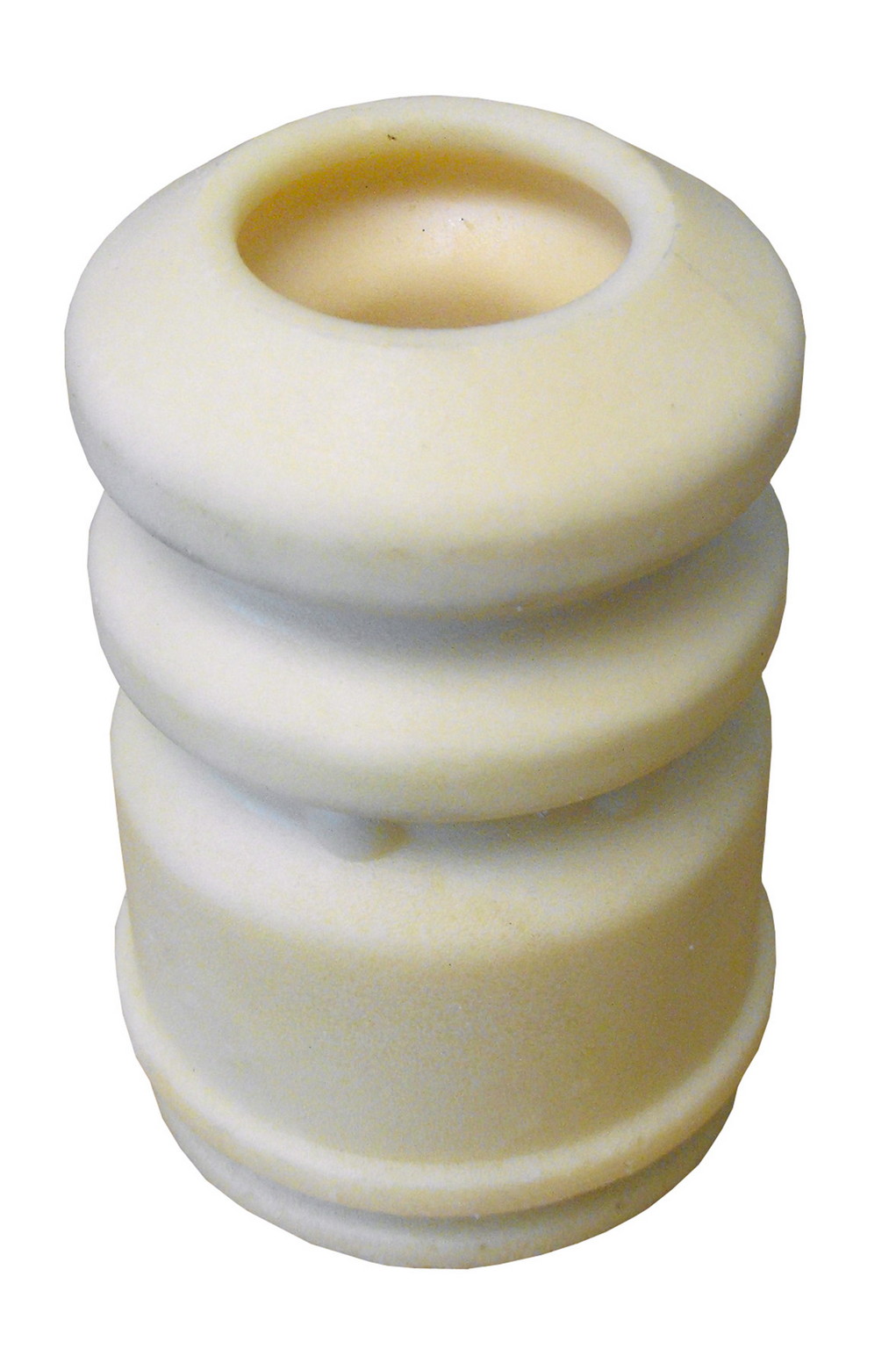 Rein AVZ0273P - Jounce Bumper (Front)