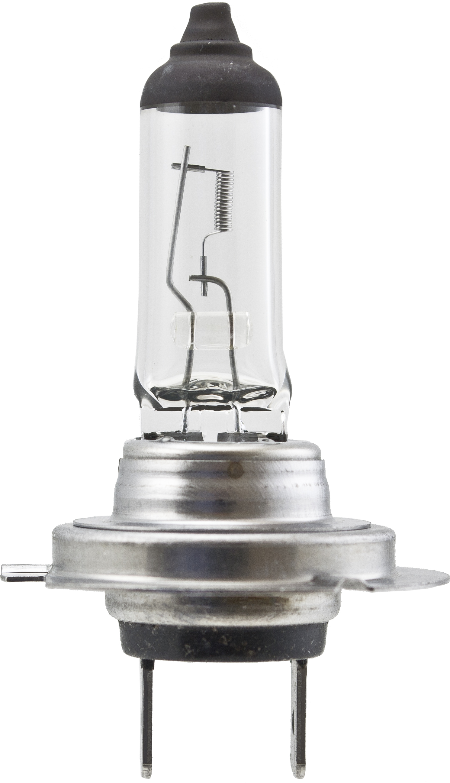 Hella H7 100W - Multi-Purpose Light Bulb