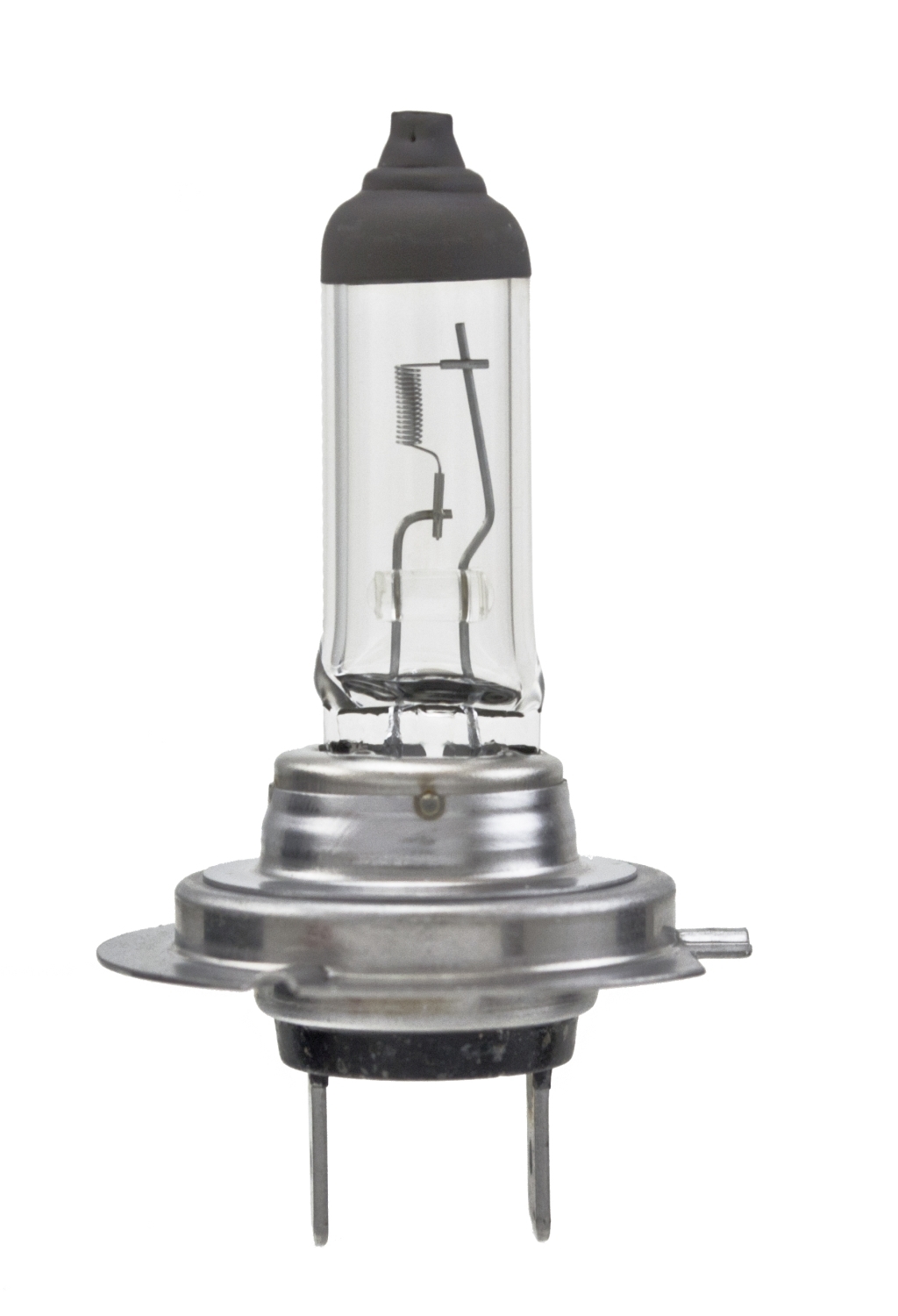 Hella H7TB - Multi-Purpose Light Bulb