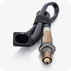 Oxygen Sensors