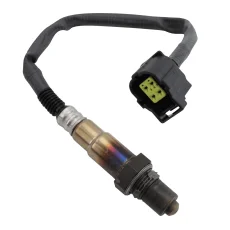 Oxygen Sensors