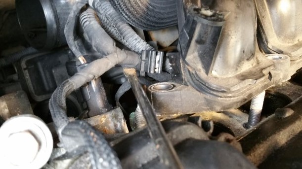 MINI coolant tube replace how to