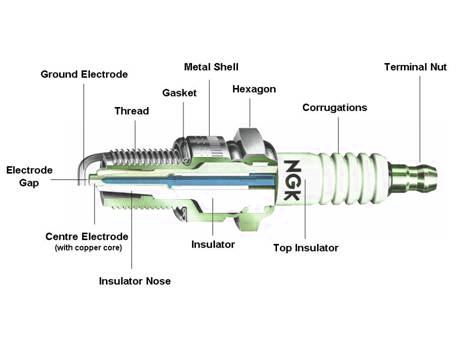 sparkplug_anatomy_part