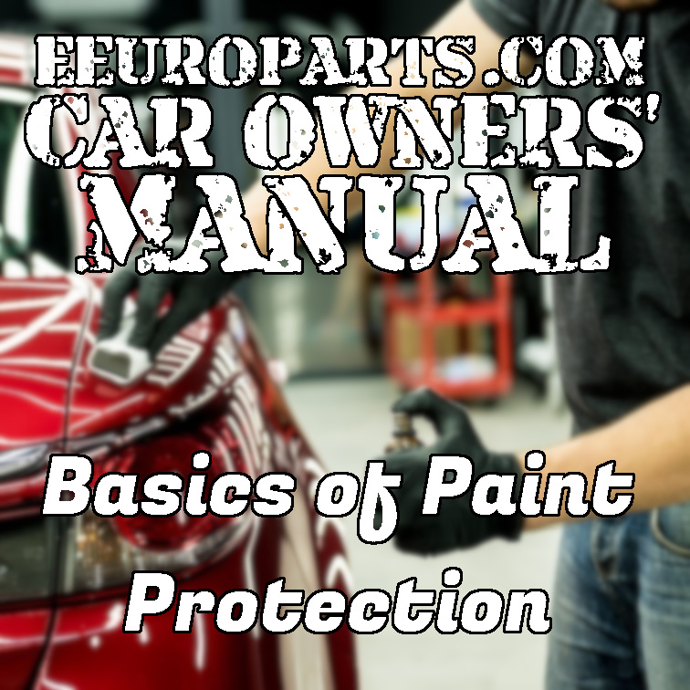 basics of paint protection thumbnail